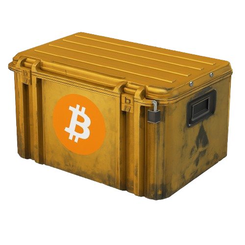 Bitcoin Case